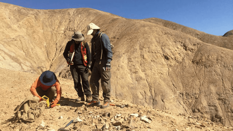 Tier One Silver Inc. reanuda la exploración en el proyecto Curibaya en Perú