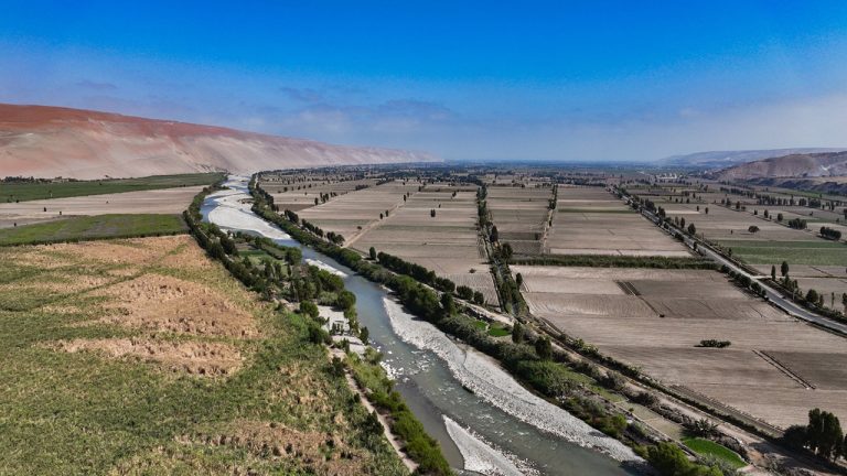 Proyecto Tía María generará 9 mil puestos de trabajo