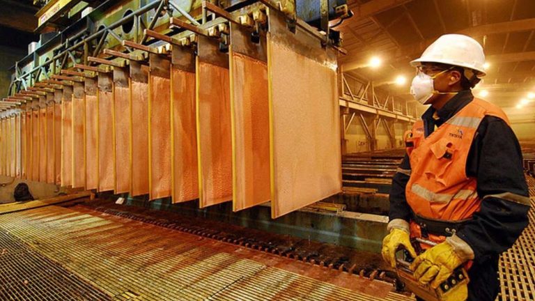 Texto del párrafo 24 (73)