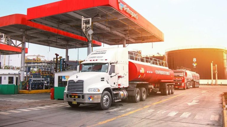 Texto del párrafo 24 (76)