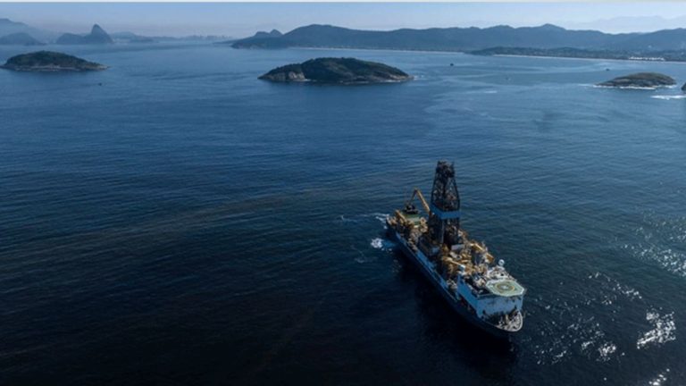 Texto del párrafo 24 (81)