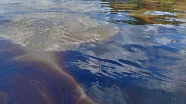 Texto del párrafo 24 - 2024-10-04T084126