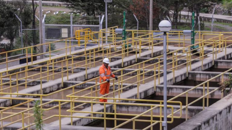 Texto del párrafo 24 - 2024-10-16T094417