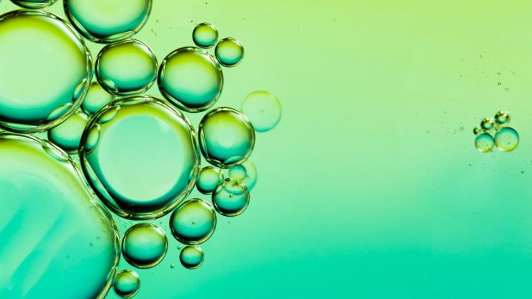 Texto del párrafo 24 - 2024-10-23T090807