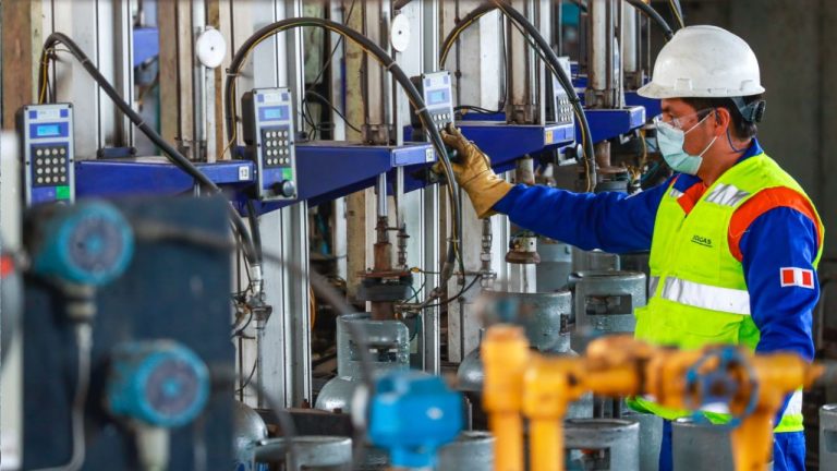 Texto del párrafo 24 - 2024-10-29T084725