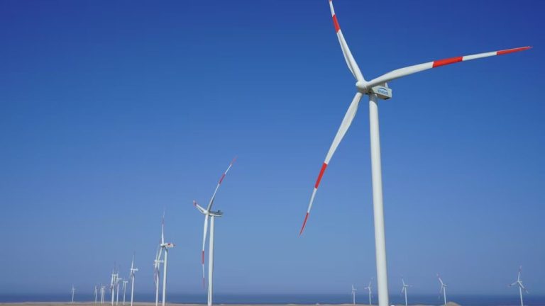 Texto del párrafo 24 (92)