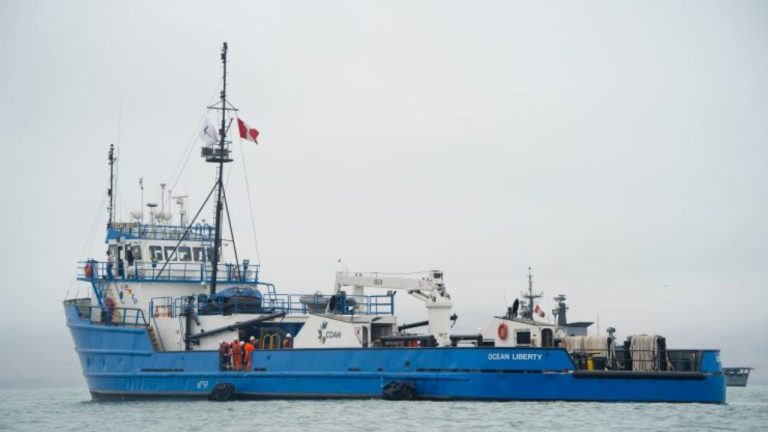 Texto del párrafo 24 (98)