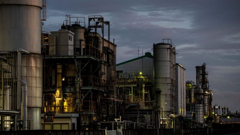 Texto del párrafo 24 - 2024-11-12T104427