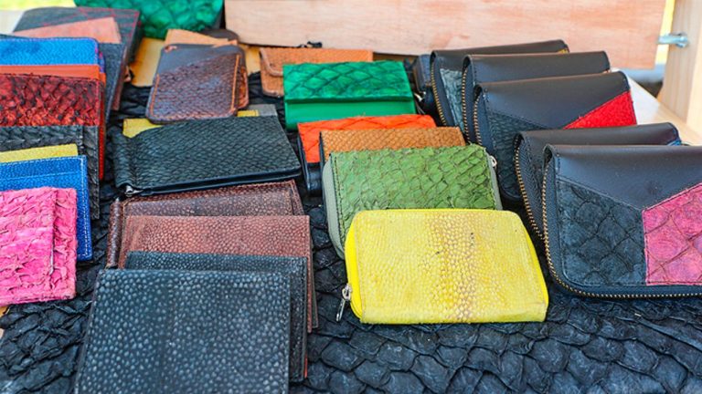 12diciembre_feriaecobio_c