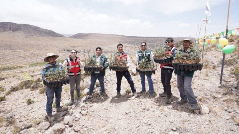 18diciembre_angloamericanplantones_c