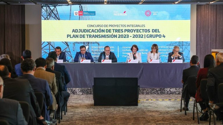 19diciembre_proyectoselectricos_c