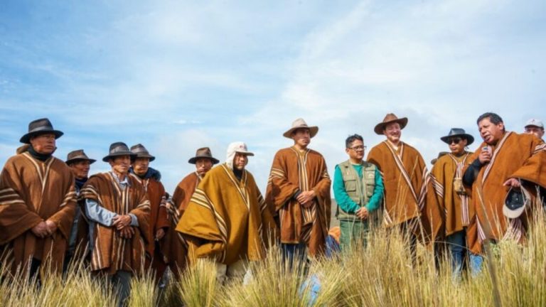 30diciembre_reforestacion_c