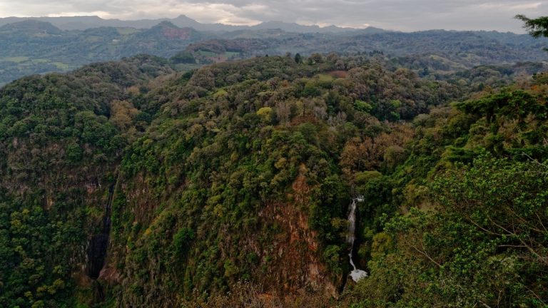 A mountainous forest with a waterfall  during daytime