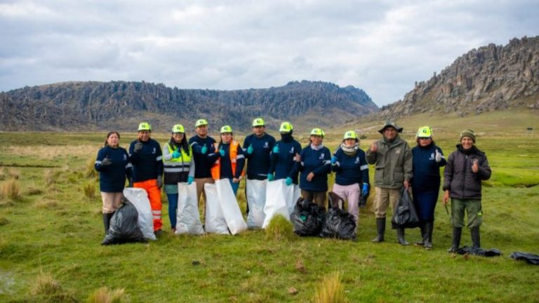 7enero_panamericansilver_c