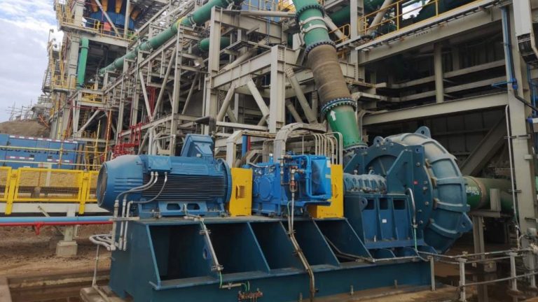 Adobe Express - file (10)