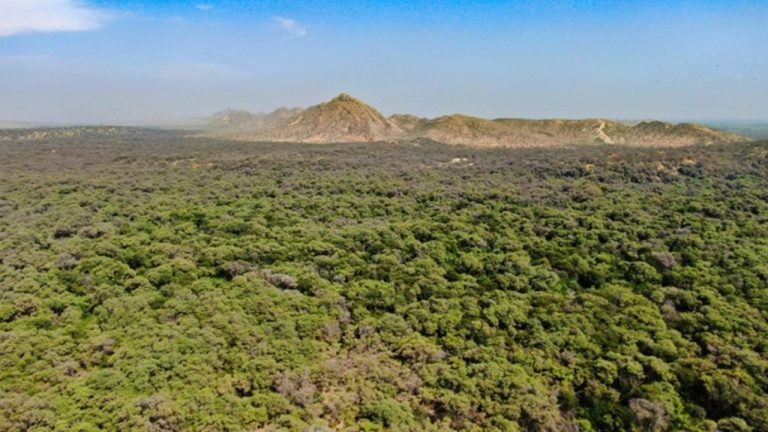 10febrero_medioambiente1_c