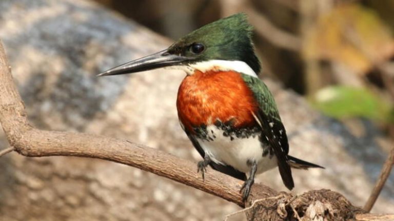 6657adccc89db23427126451