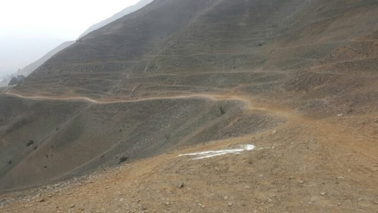 Adobe Express - file (28)