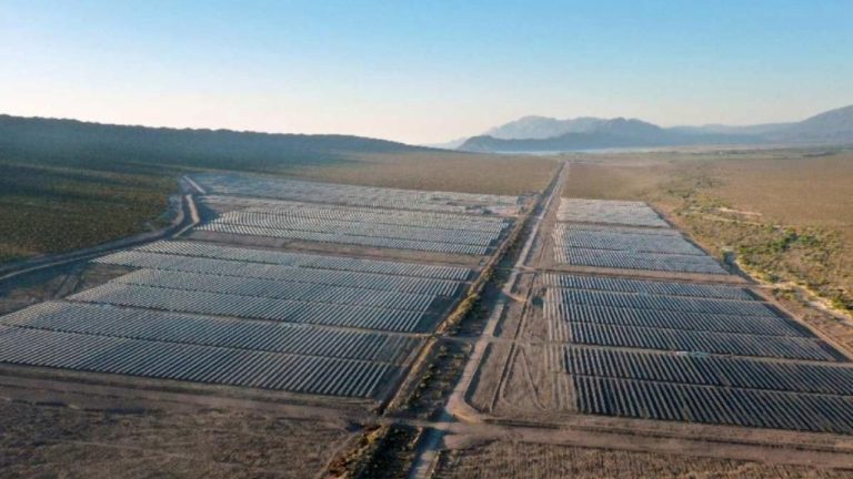 Adobe Express - file (29)