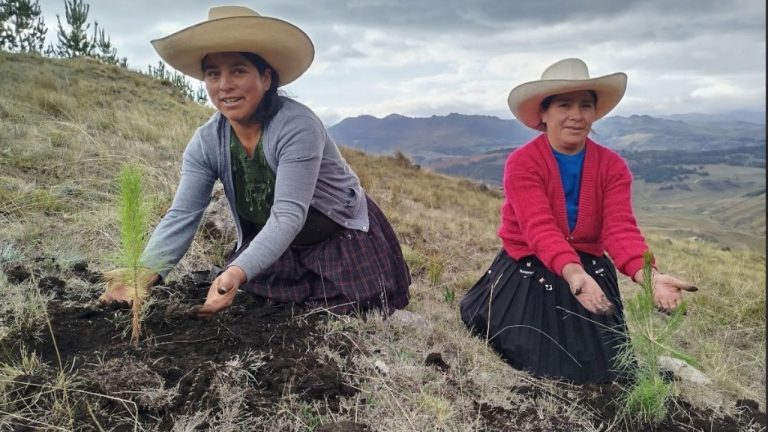 Diseño sin título_20250220_091913_0000