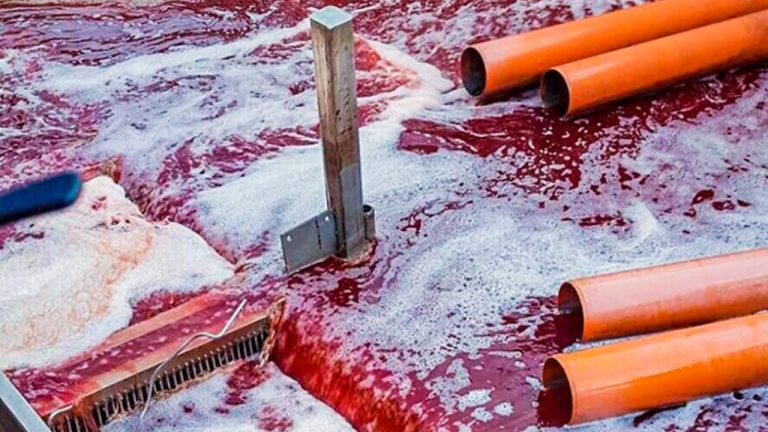 Diseño sin título_20250227_093510_0000