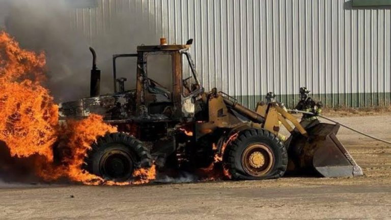 Diseño sin título_20250320_120314_0000