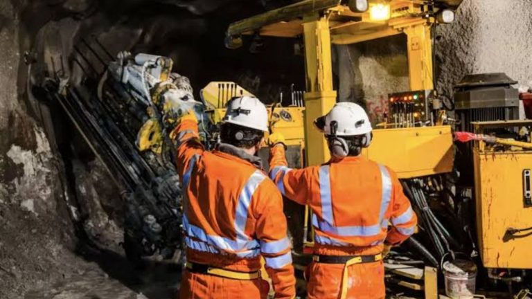 Diseño sin título_20250321_102718_0000