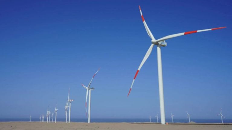 resized_compressed_image