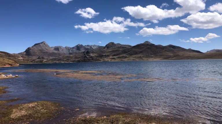 Diseño sin título (1)