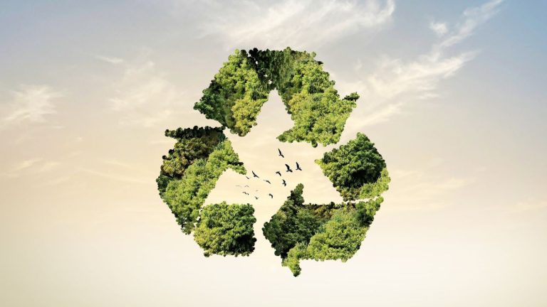 Diseño sin título (22)