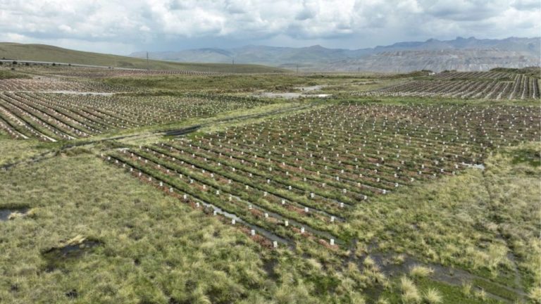 Diseño sin título (31)