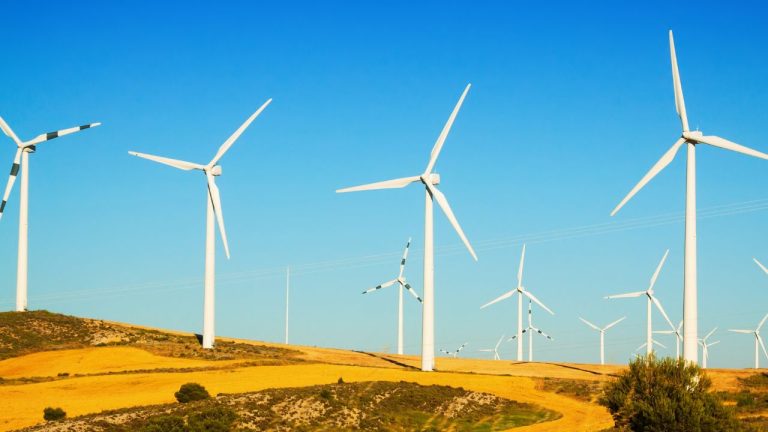 Diseño sin título (4)