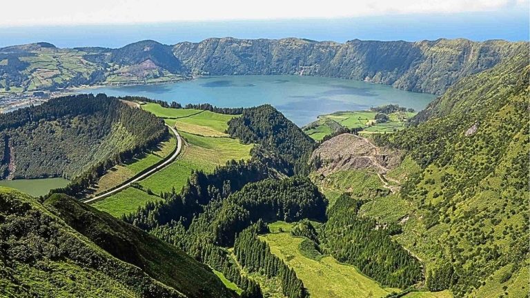 Diseño sin título (52)