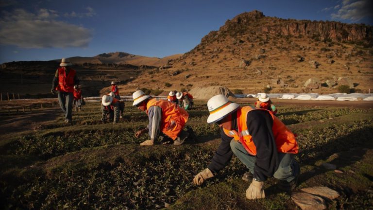 Untitled design - 2025-06-10T164419