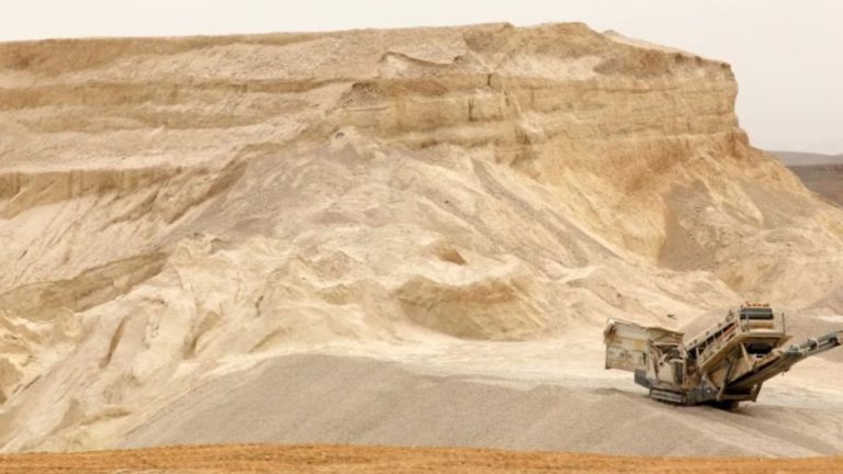 Diseño sin título (13)