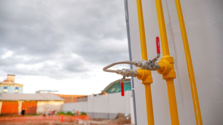 Diseño sin título - 2025-07-21T145535