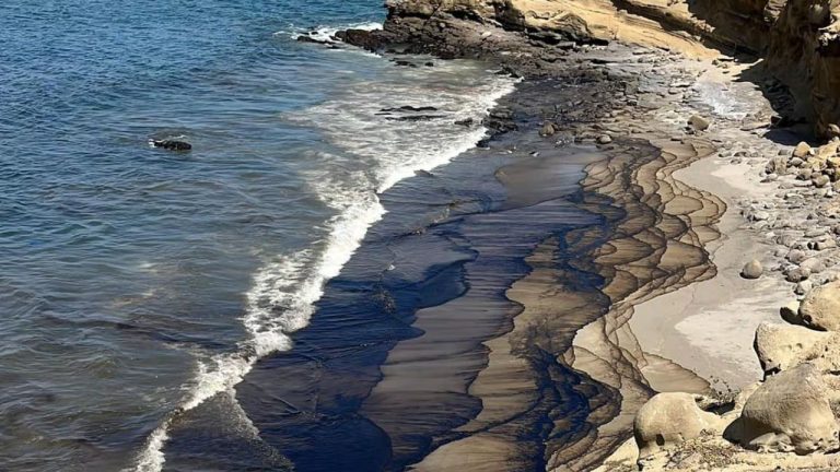 Diseño sin título - 2025-07-24T114340