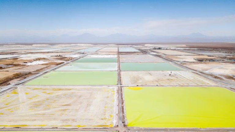 Untitled design (5) (1)