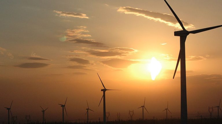 Untitled design (9) (1)