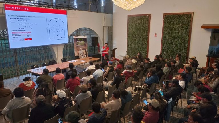 Diseño sin título - 2025-08-10T213120