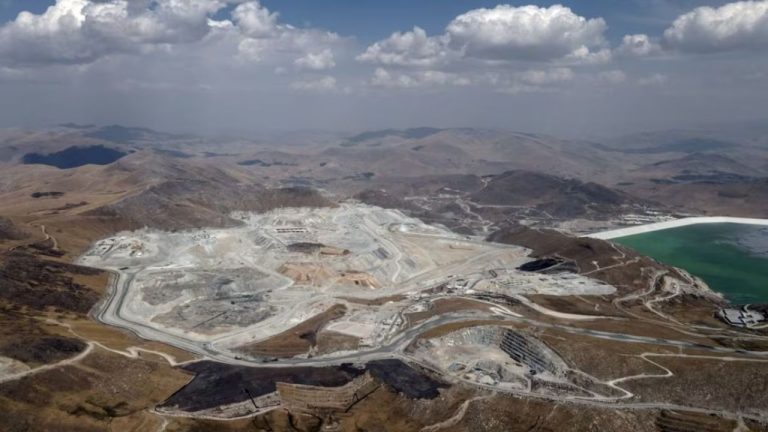 Diseño sin título - 2025-08-10T215945