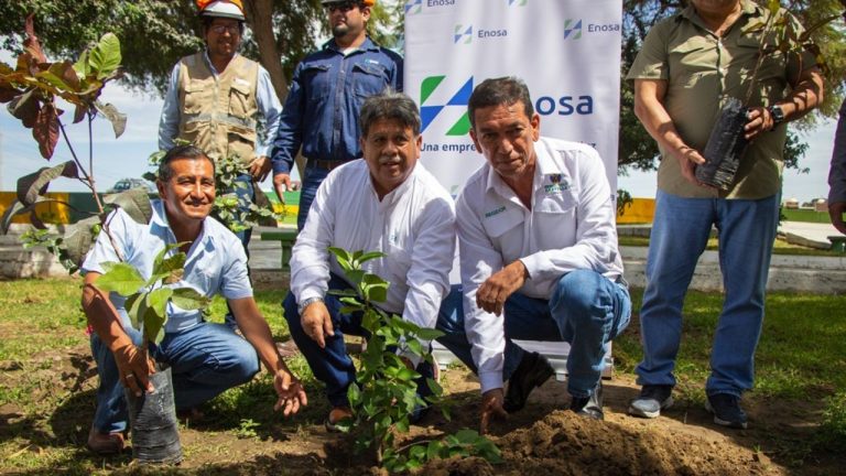 Diseño sin título - 2025-08-12T102406