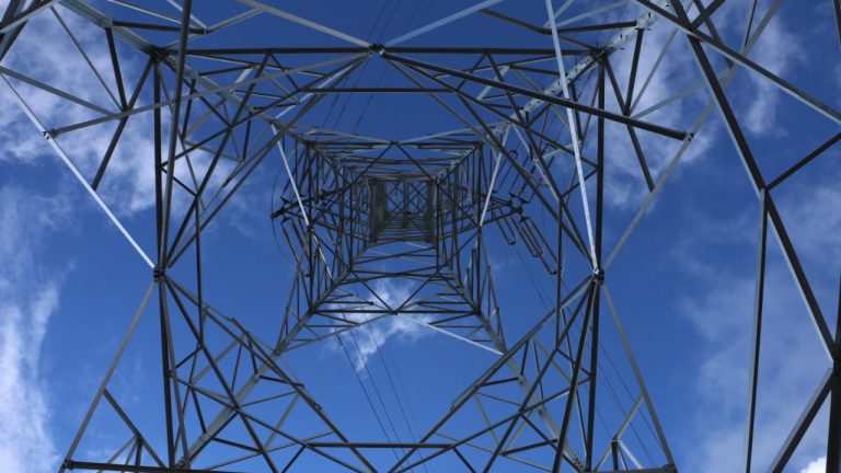 Untitled design (54)