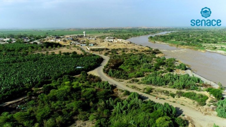 Diseño sin título - 2025-09-10T091607