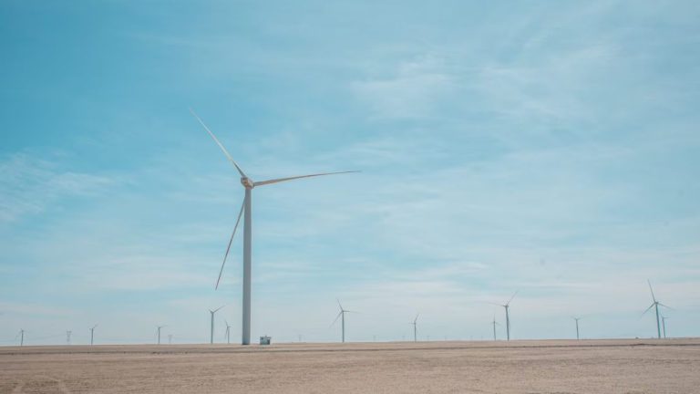 Diseño sin título - 2025-09-23T095610