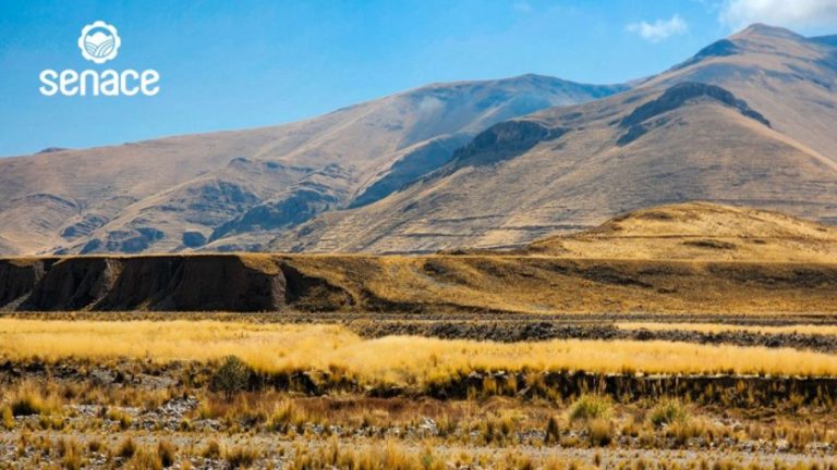 Diseño sin título - 2025-10-17T082352