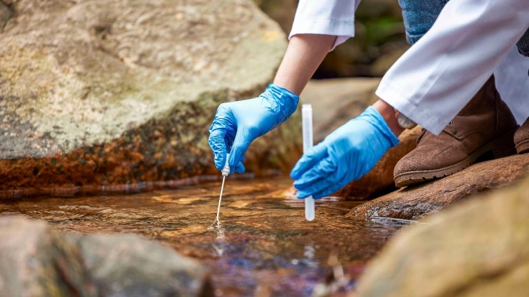 final-image - 2025-11-11T111256