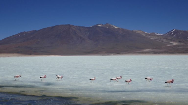 final-image - 2025-11-18T111518