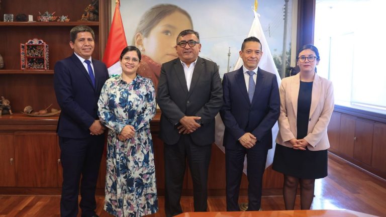 MINEM - hidrocarburos y electrificación electr