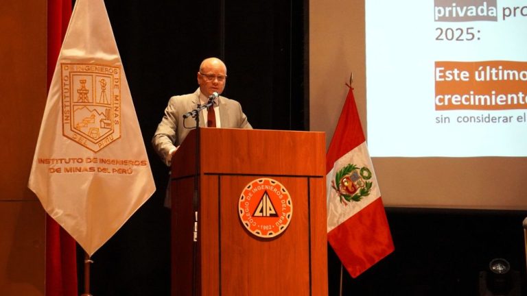 Vicepresidente IIMP (1)